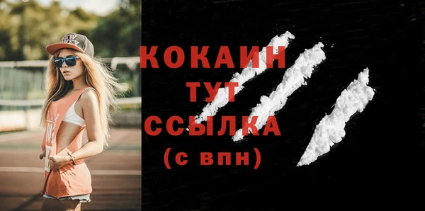 гидра Белокуриха