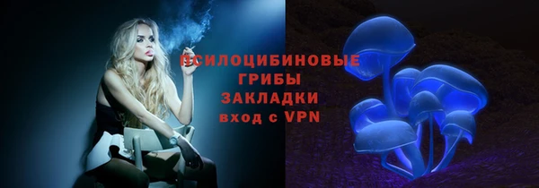 гидра Белокуриха