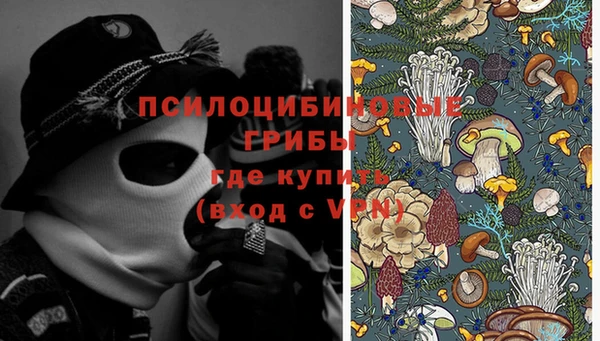 крисы Белоозёрский