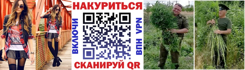 Бошки Шишки Amnesia  Боровичи 